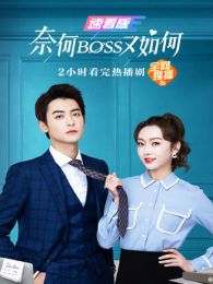 奈何BOSS又如何速看版