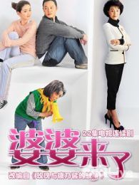 婆婆来了DVD