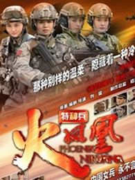 我是特种兵之火凤凰DVD版