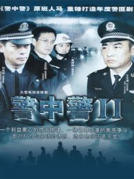 警中警2TV版