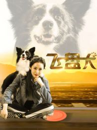 飞盘犬