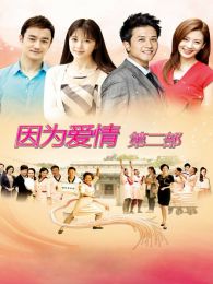 因为爱情有奇迹TV版