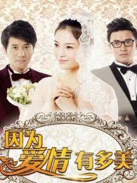 因为爱情有多美DVD版