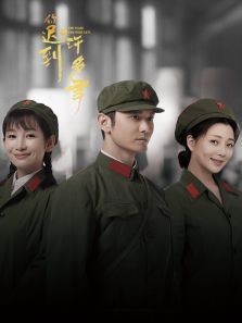 你迟到的许多年DVD版