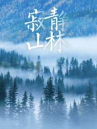 寂静山林