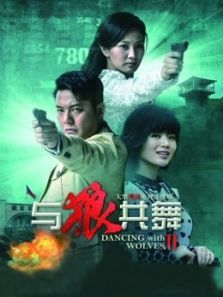 与狼共舞2DVD版