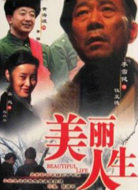 美丽人生（2008）