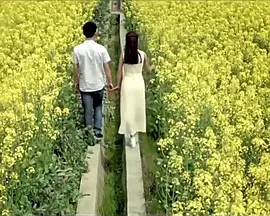 青春之殇II:归期无期