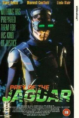 迎头痛击(国语版)