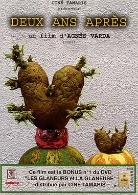 艾格妮捡风景:两年后