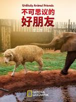 不可思议的好朋友第二季