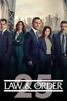 法律与秩序 第二十五季