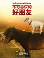 不可思议的好朋友第三季
