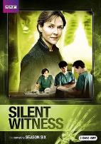 无声的证言第六季