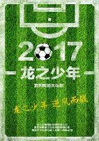 龙之少年