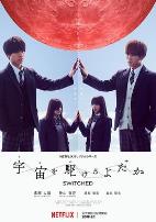 翱翔于天际的夜鹰