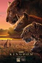 动物王国(普通话版)