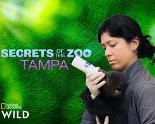 动物园秘辛：坦帕湾第四季
